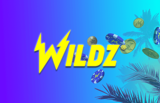 Ein Bild des Wildz Casino Logo