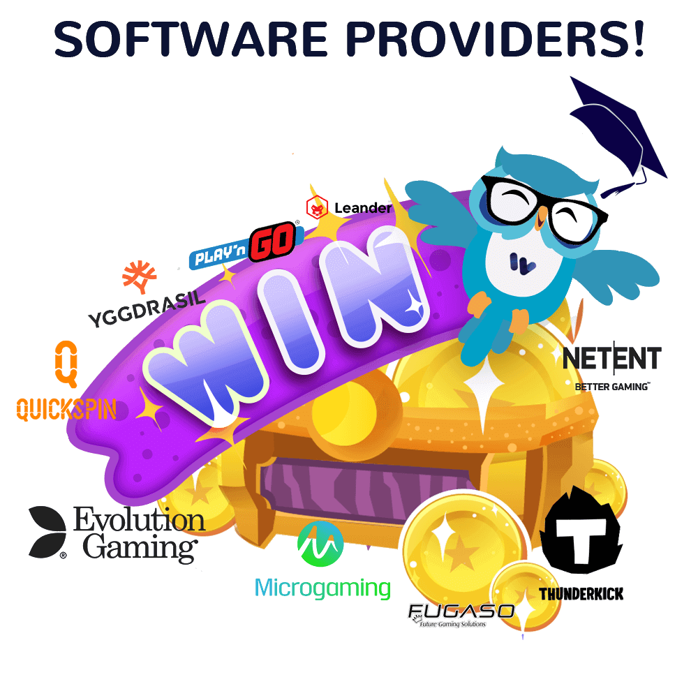 An image of software providers