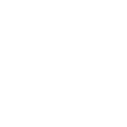 BONUS-ICON-7